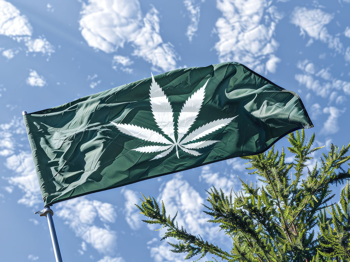 Green flag with a white cannabis leaf waving in front of a blue sky