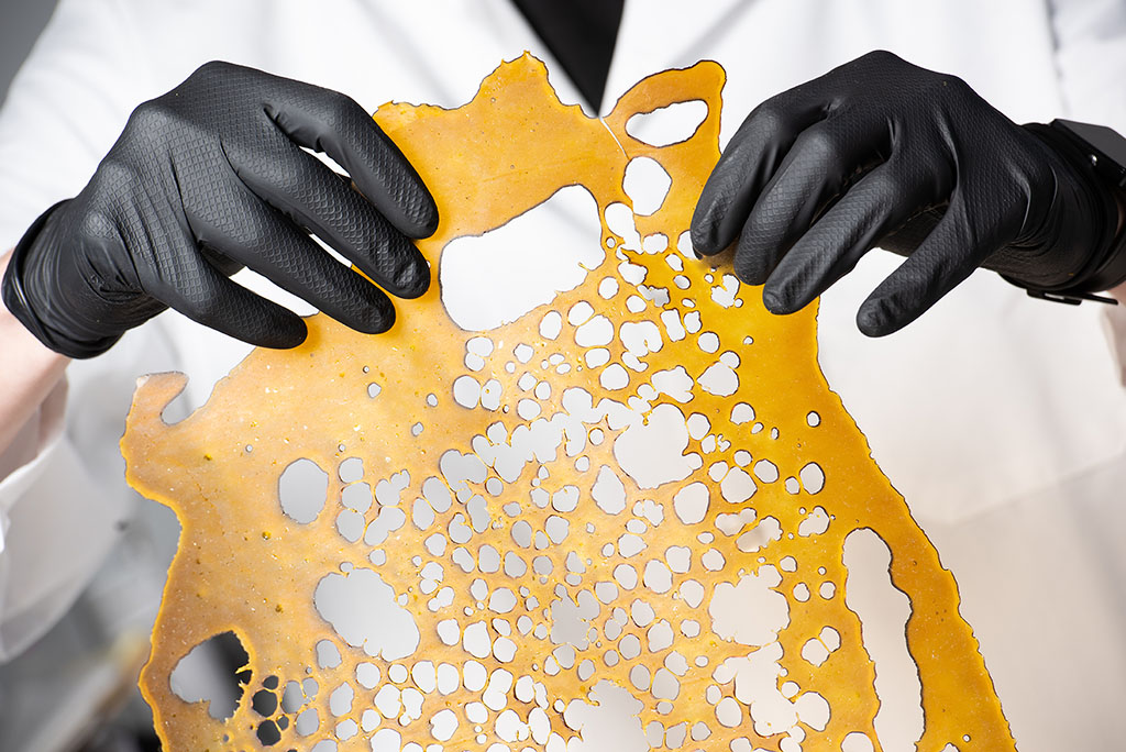 Cannabis scientist holding a sheet of BHO concentrate