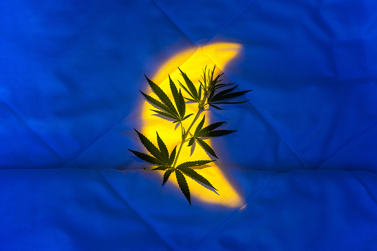 Yellow moon projected on a blue comforter over cannabis leaves