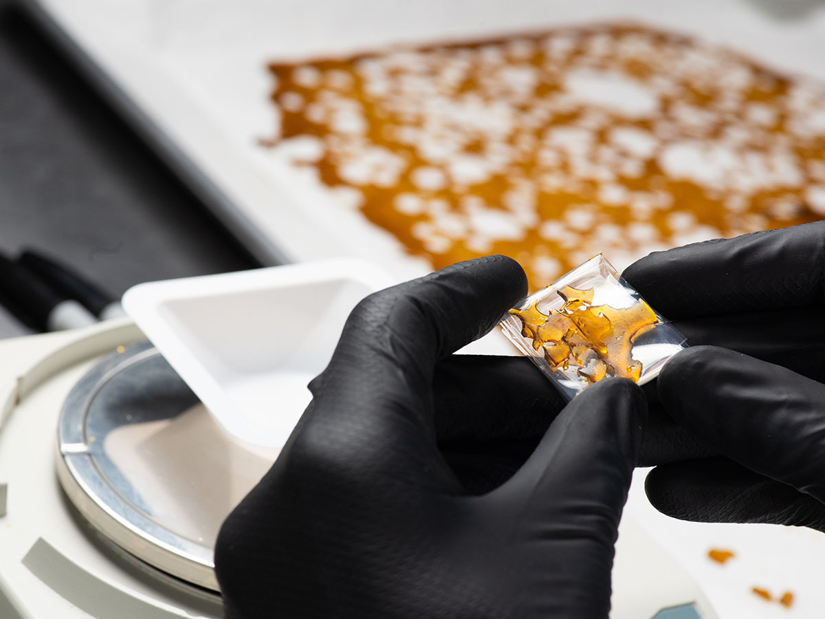 Gloved hands holding a piece of shatter in a lab