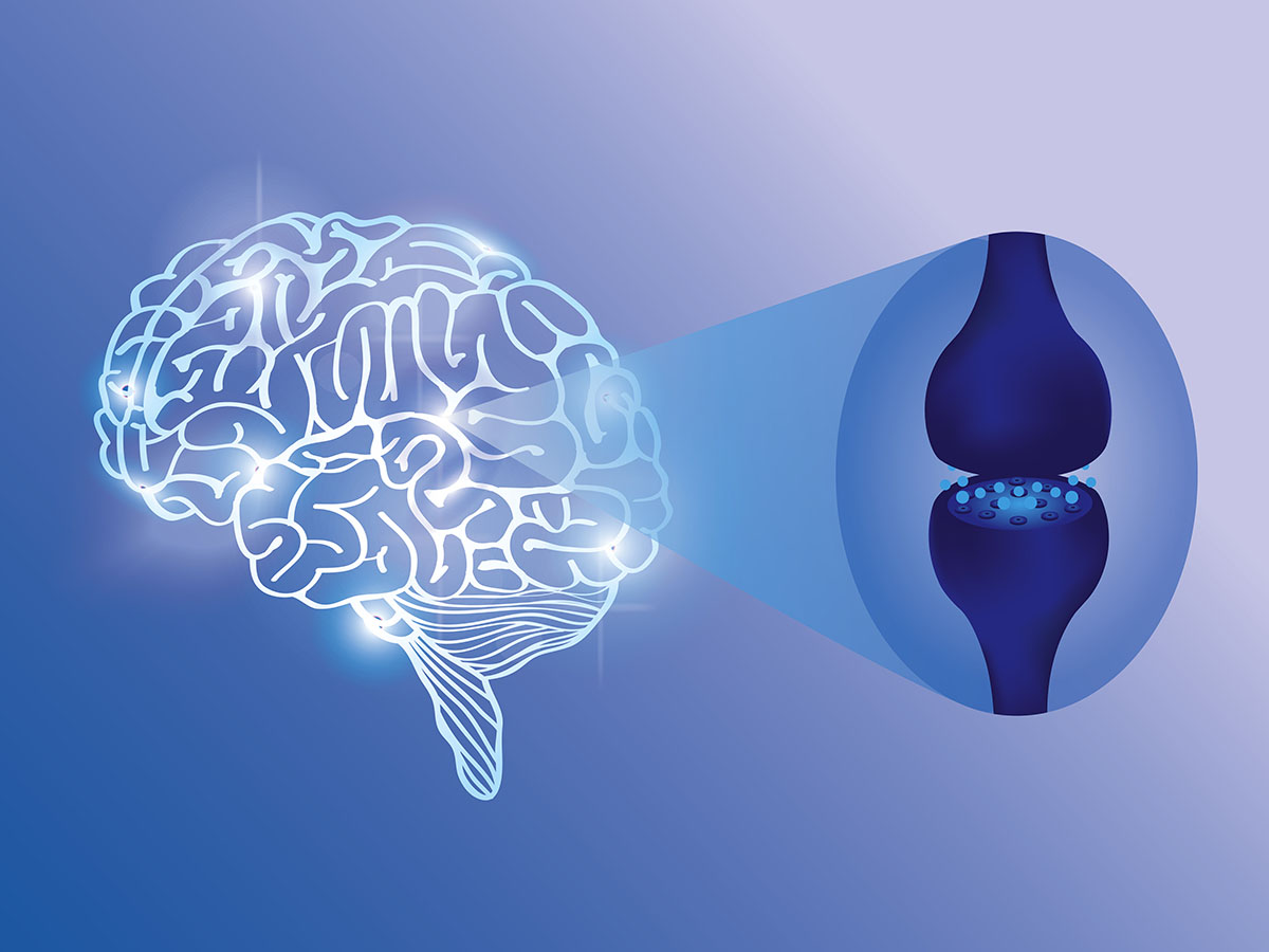 An illustration of a brain showing a diagram of brain synapses at work.