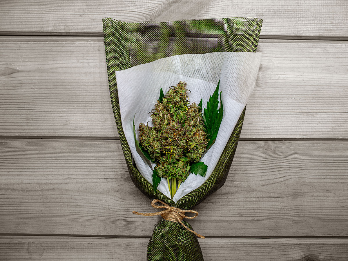 Large cannabis flower wrapped like a flower bouquet