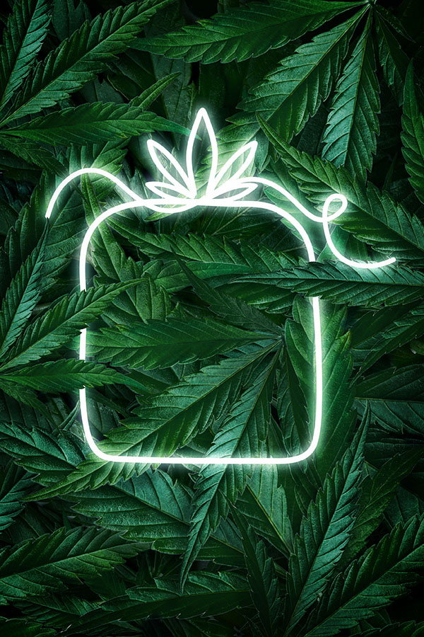 Neon sign of a gift laying on a pile of cannabis leaves