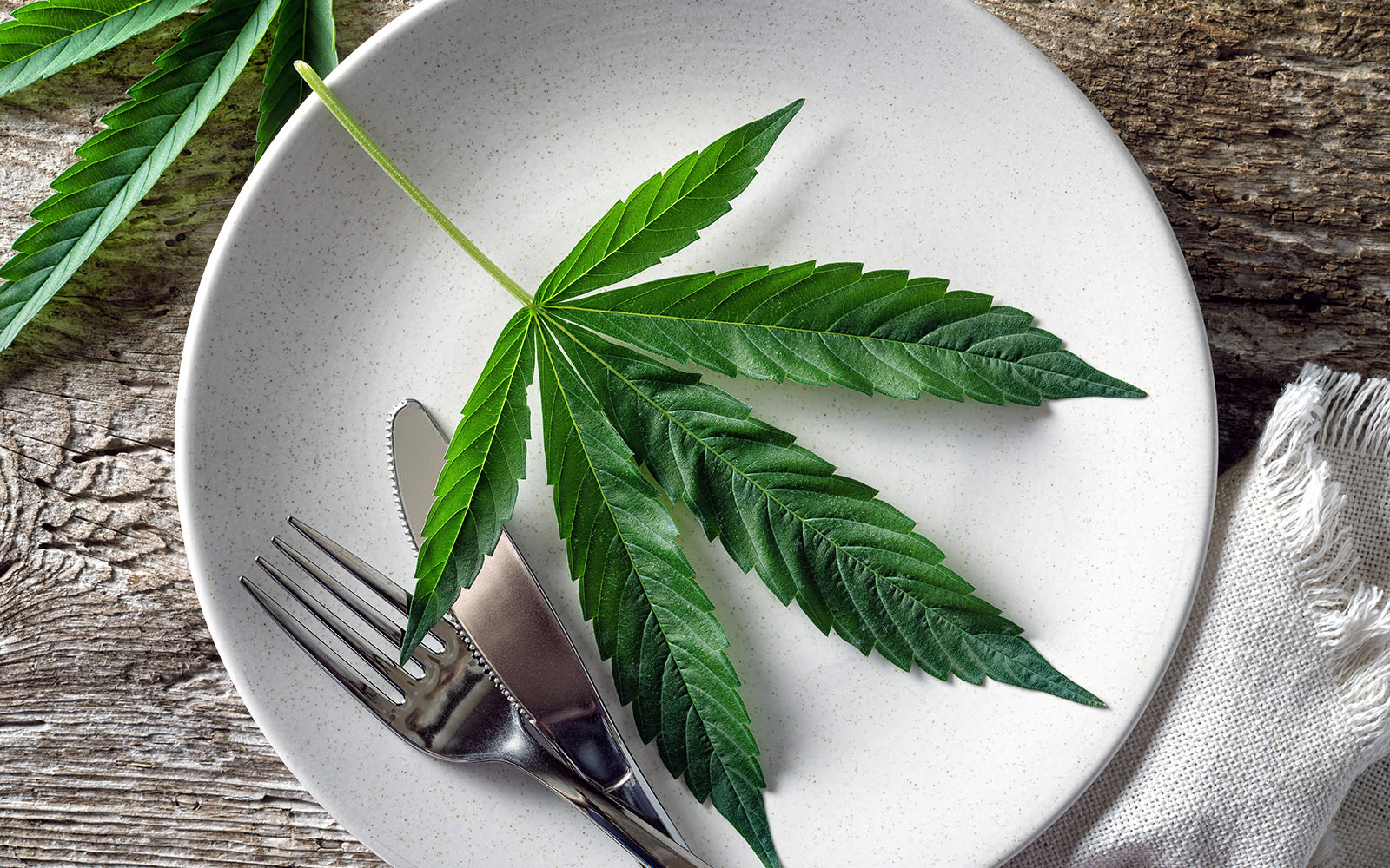 Cannabis leaf on a plate with a fork and knife