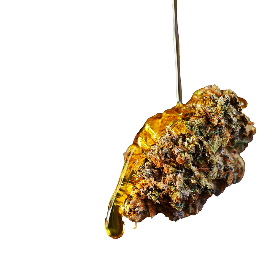 A marijuana bud is coated in amber-colored concentrate.