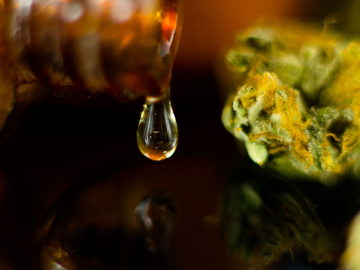 Closeup of a drop of liquid falling next to a cannabis flower bud