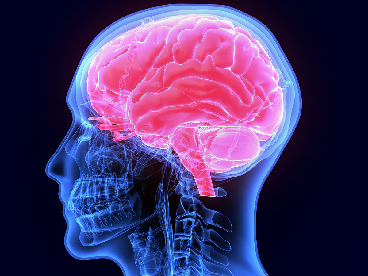 x-ray of a human skull with the brain visible and in bright pink