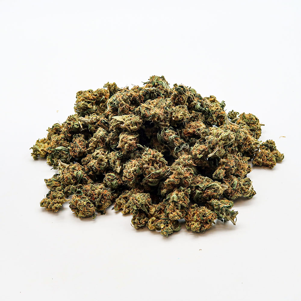 Large pile of cannabis popcorn flower on a white background