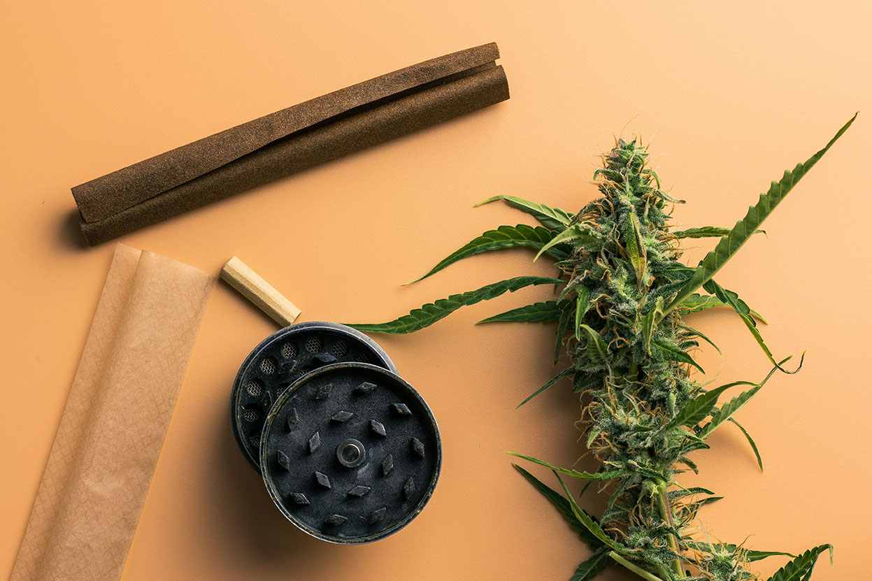 Cannabis plant on a table next to a grinder, a blunt wrap, and a filter