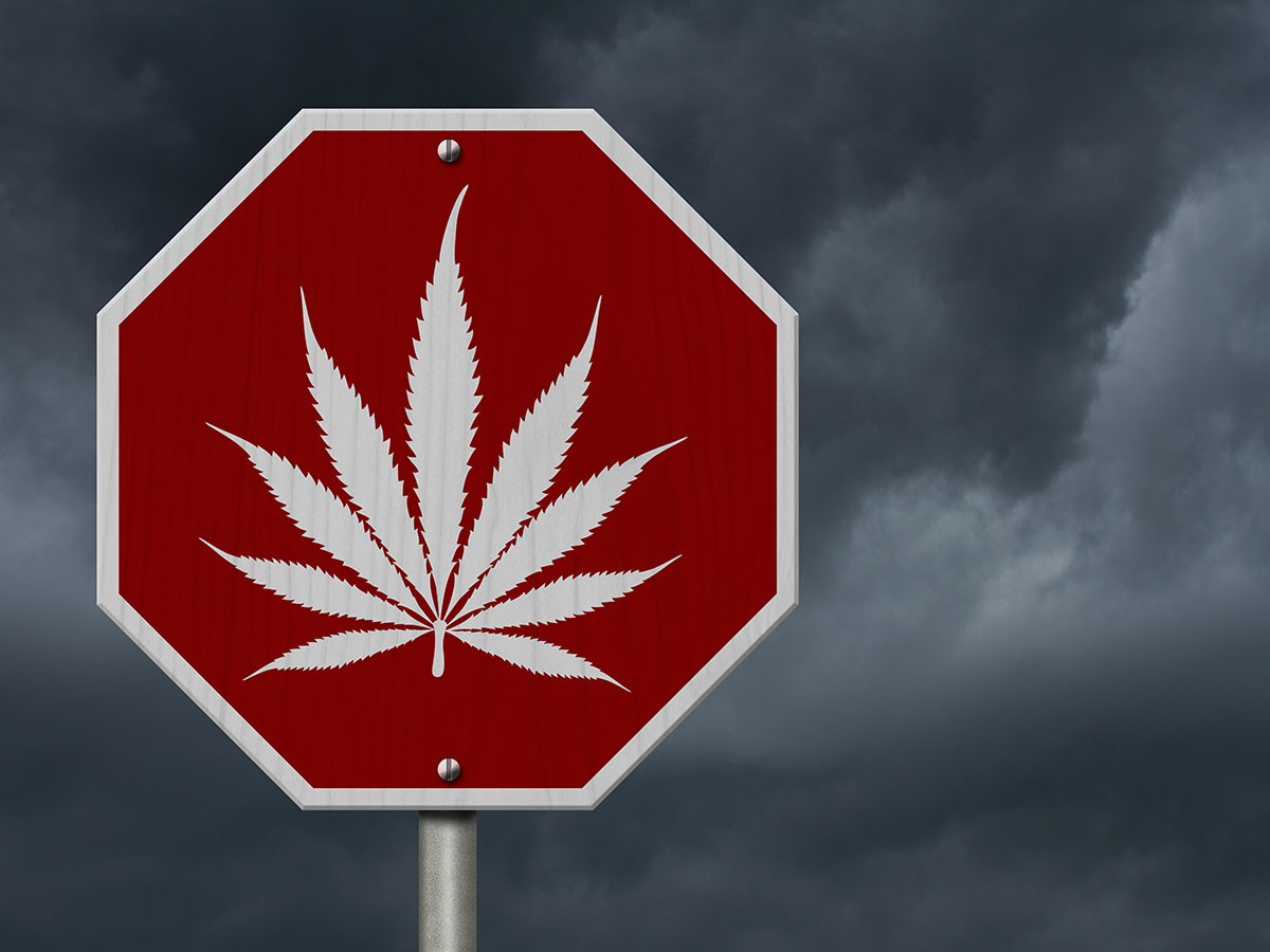 Cannabis leaf in the middle of a red stop sign