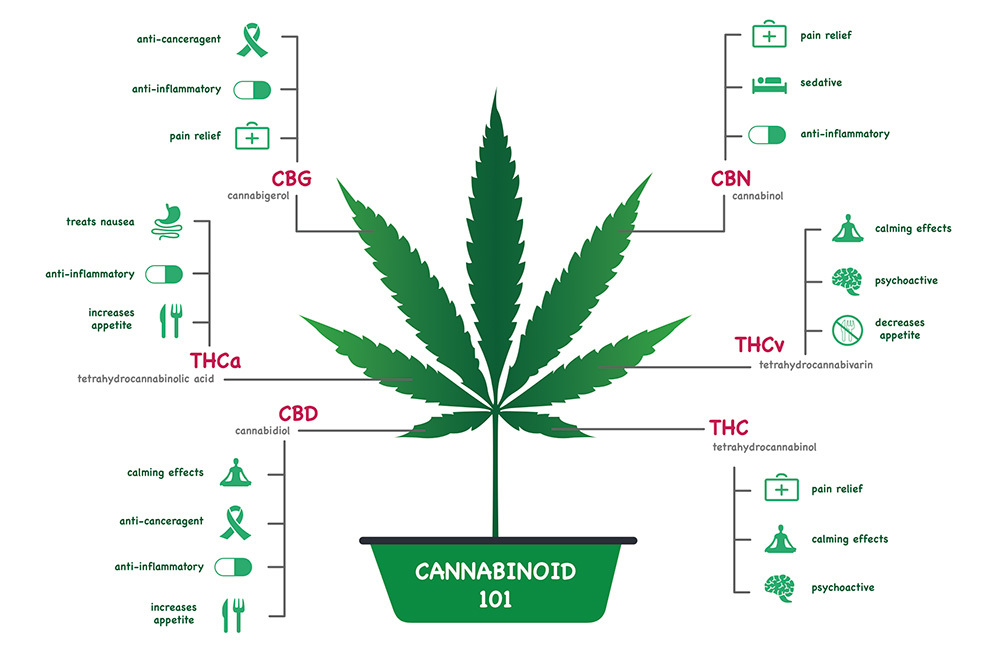 Other Types Of Cannabinoids: Looking Beyond THC & CBD - LivWell Blog