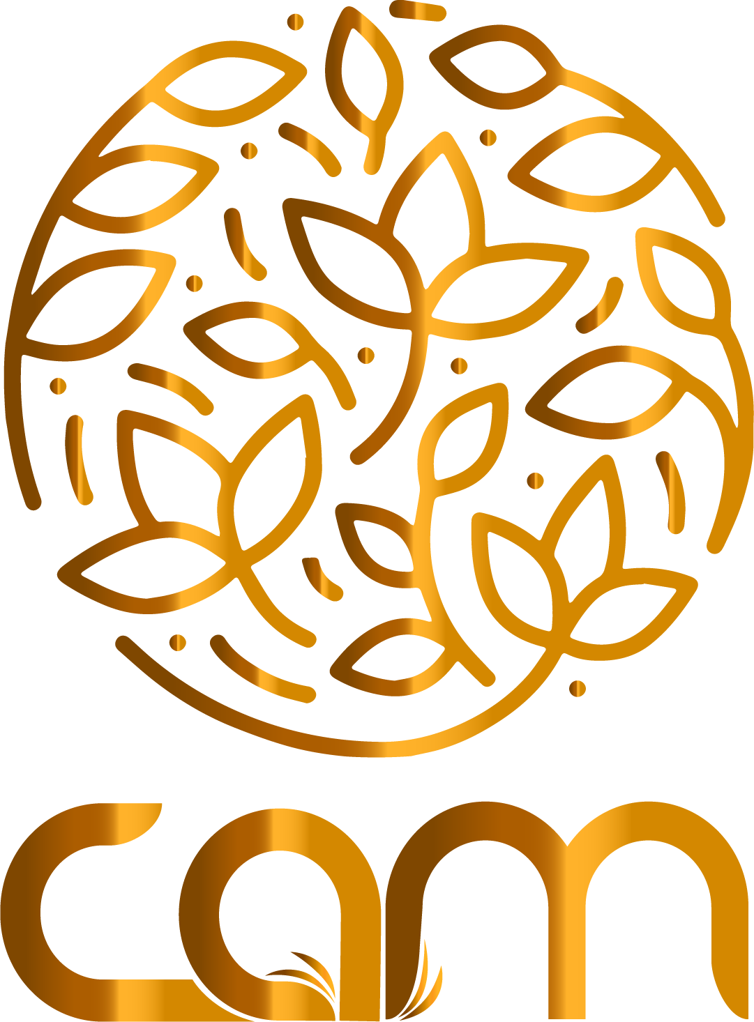 CAM Logo