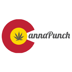 Cannapunch Drink Black Cherry 200mg