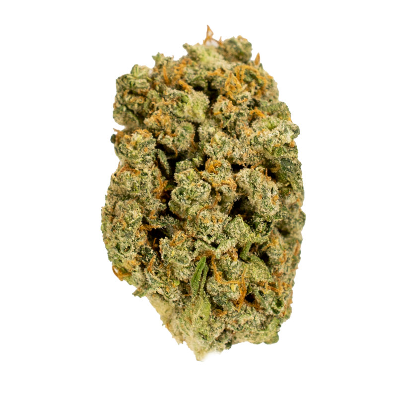 Durban Kush marijuana bud