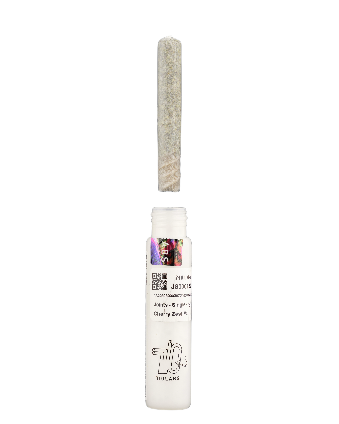 710 Pr Ztan Lee No5 1g