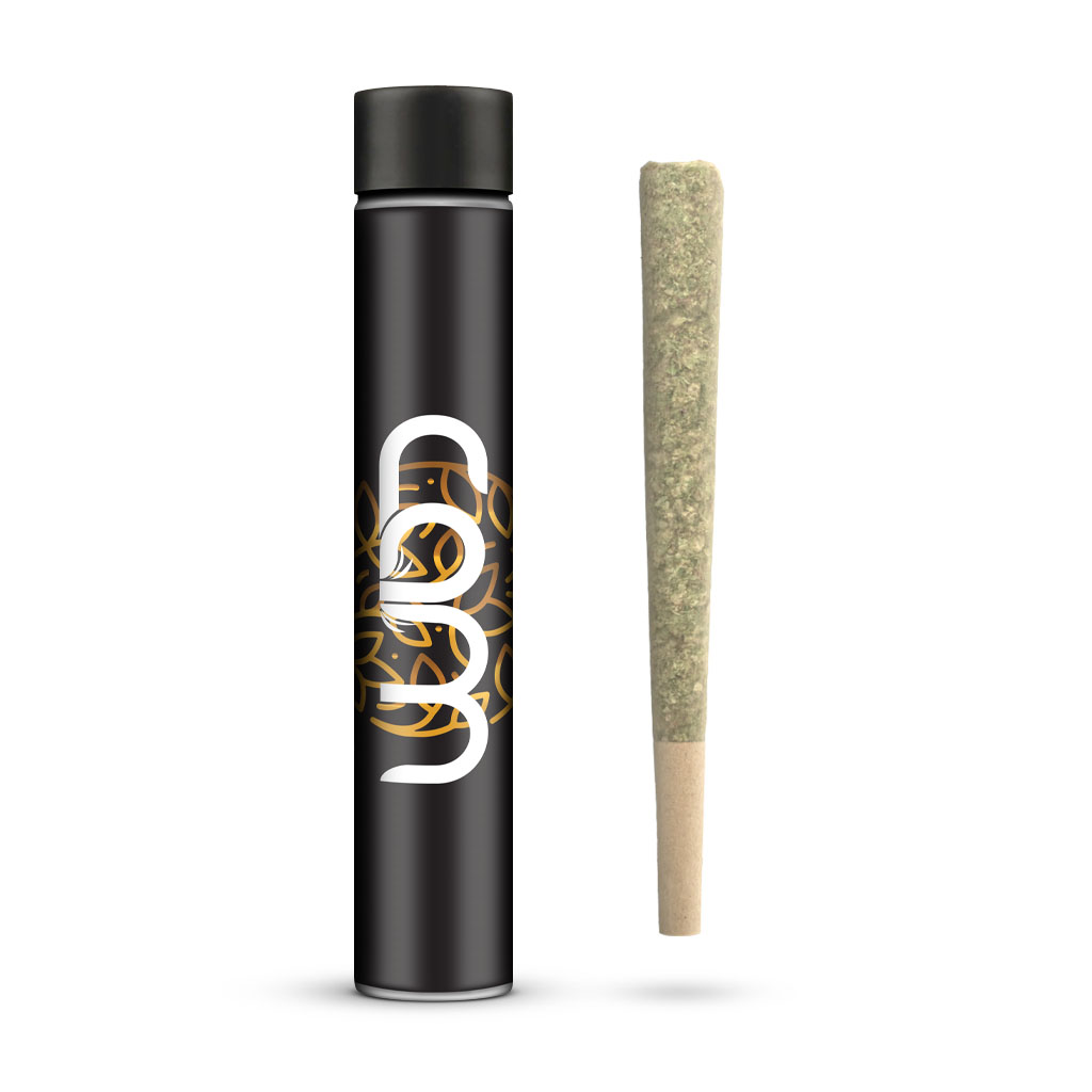 CAM 1g Pre Roll
