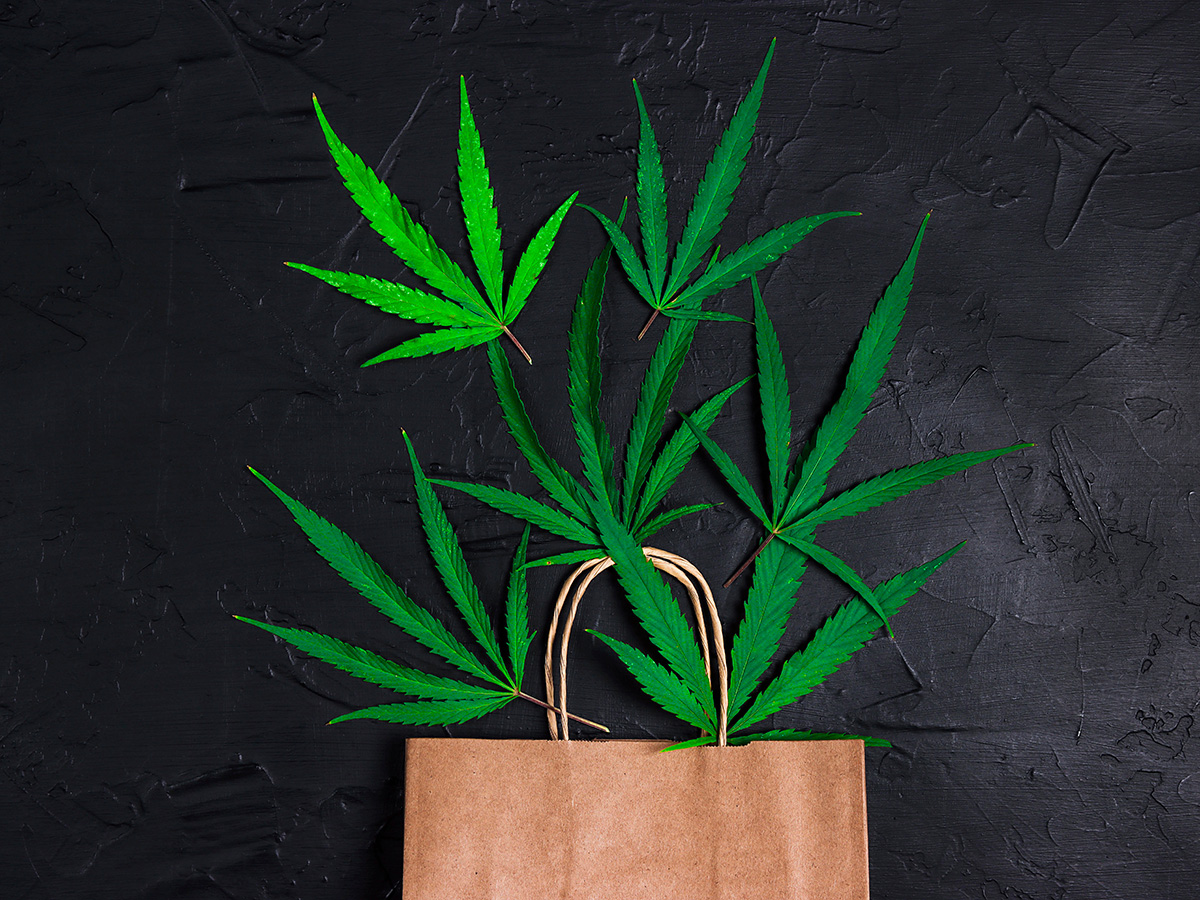 Brown paper bag with cannabis leaves coming out the top