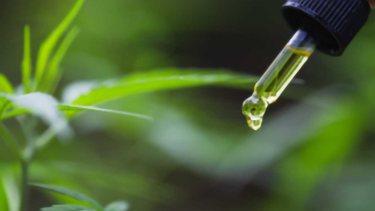 What Is CBD And How Does It Work? | LivWell