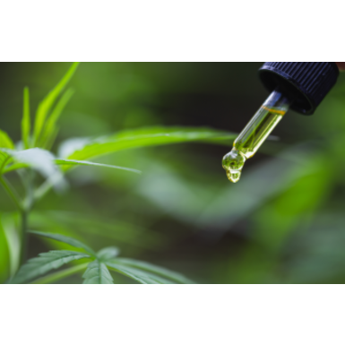 Guide to Cannabidiol (CBD): Understanding What It Is & How It Works