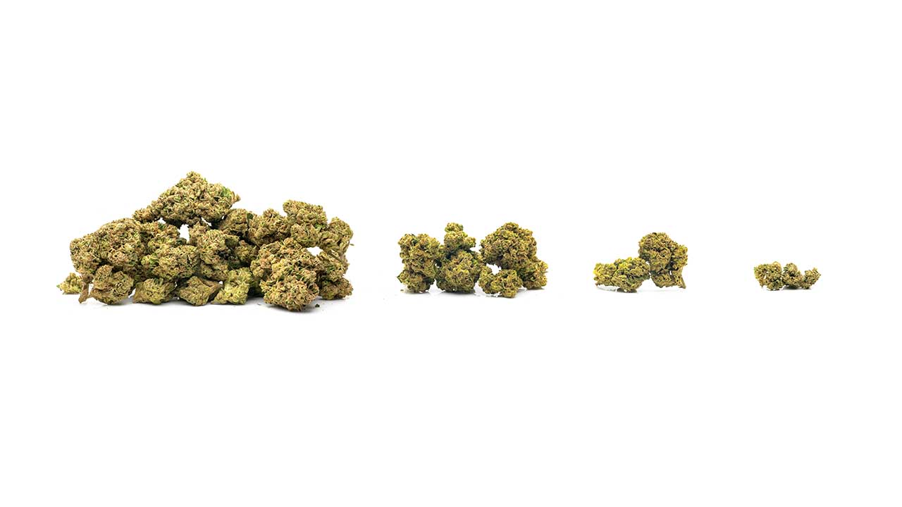 Weed measurements guide: Weights, quantities, and prices