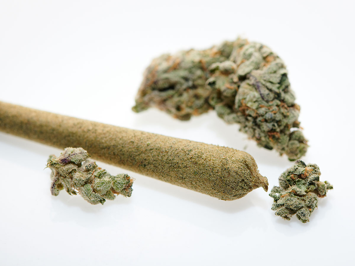 Infused pre-roll next to cannabis buds