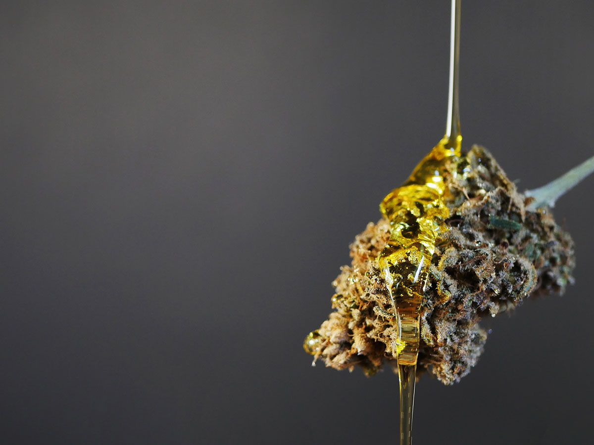Amber-colored concentrate is drizzled onto a cannabis bud.