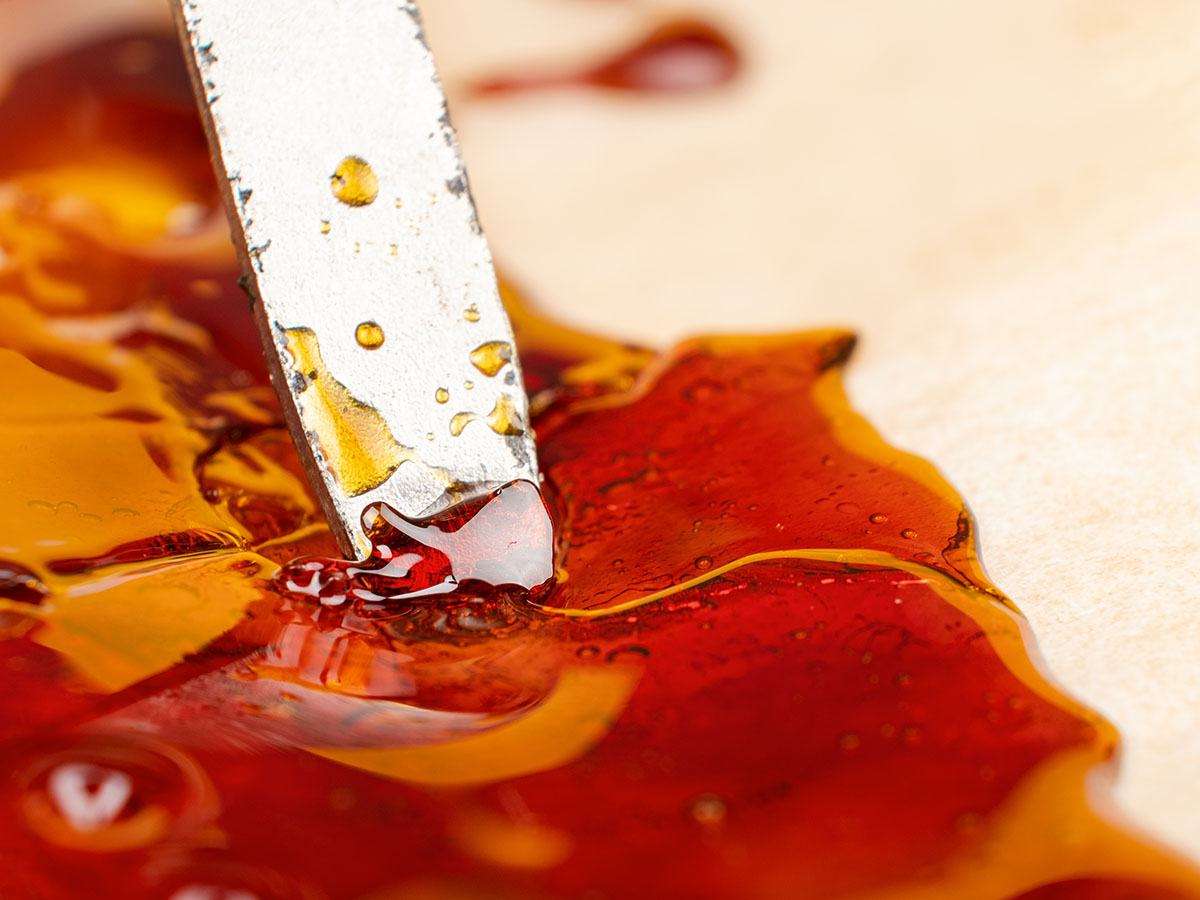 Closeup on a live resin cannabis concentrate being scooped by a dab tool