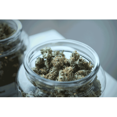 What is Medical Marijuana & How Can You Purchase It?